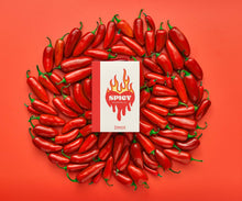 Load image into Gallery viewer, Spicy Reading Kit