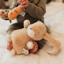 Load image into Gallery viewer, Tiny Nibble Bunny