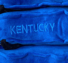 Load image into Gallery viewer, Kentucky &quot;Tuck&quot; Plush
